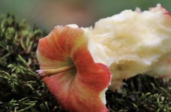 Apple Peels Put to the Test for Chronic Joint Pain